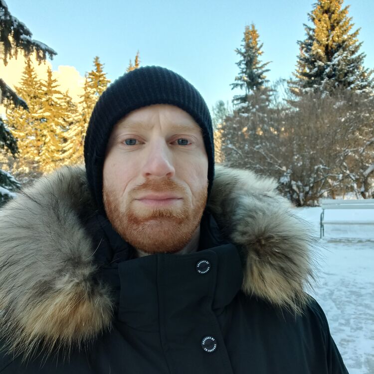 ���� 43736555 ������� �������, 31 ���, ���� ���������� � ������