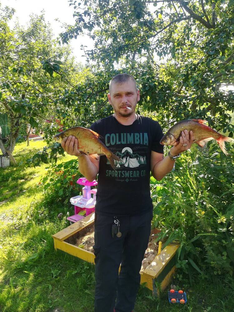  20813835  , 43 ,    