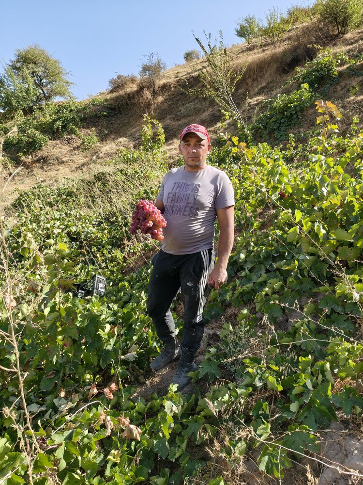 ���� 55977565 ������� ����, 33 ����, ���� ���������� � ��������