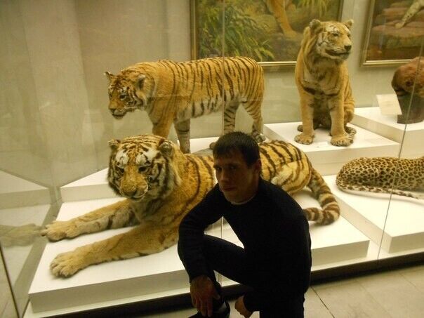 ���������� ���������� �����, ���� ������� ARMINE, 34 ����, ������������ ��� ����� � ���������, c�������� ���������