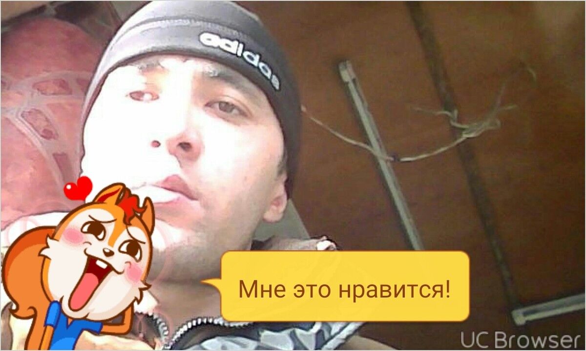  9690235  , 36 ,    