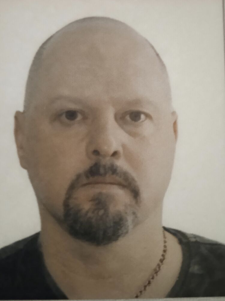  53347685  , 48 ,    