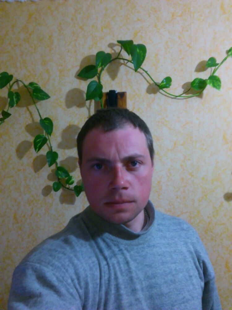  9648065  , 37 ,    