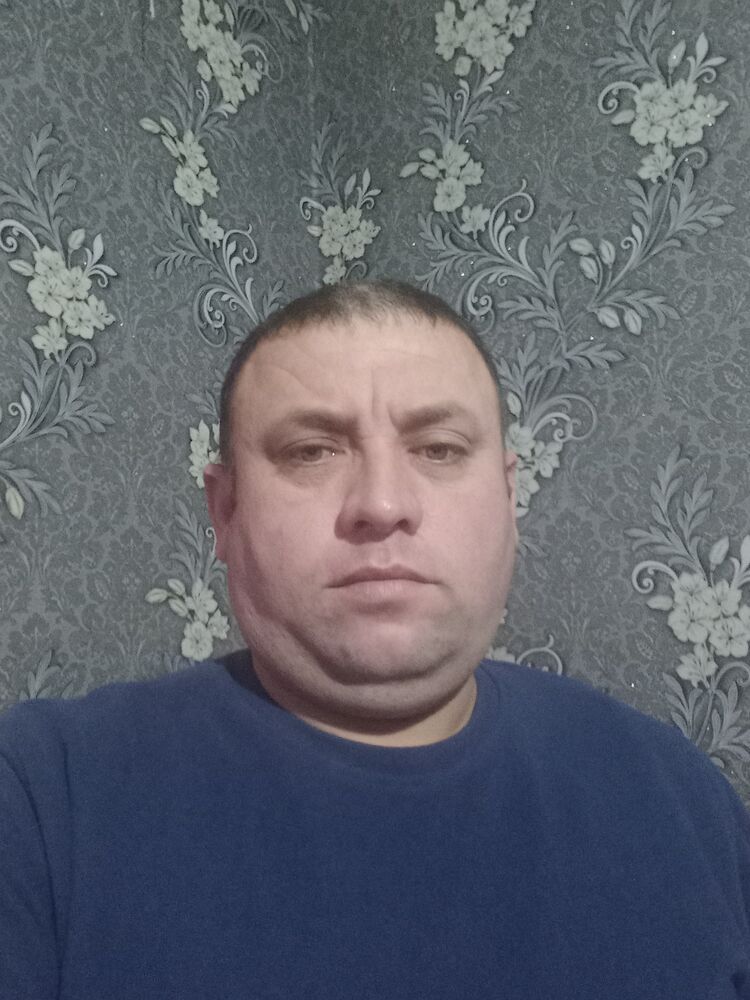  43984195  , 41 ,    