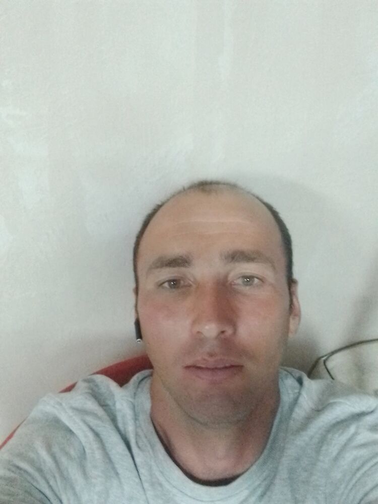 42440455  , 28 ,    