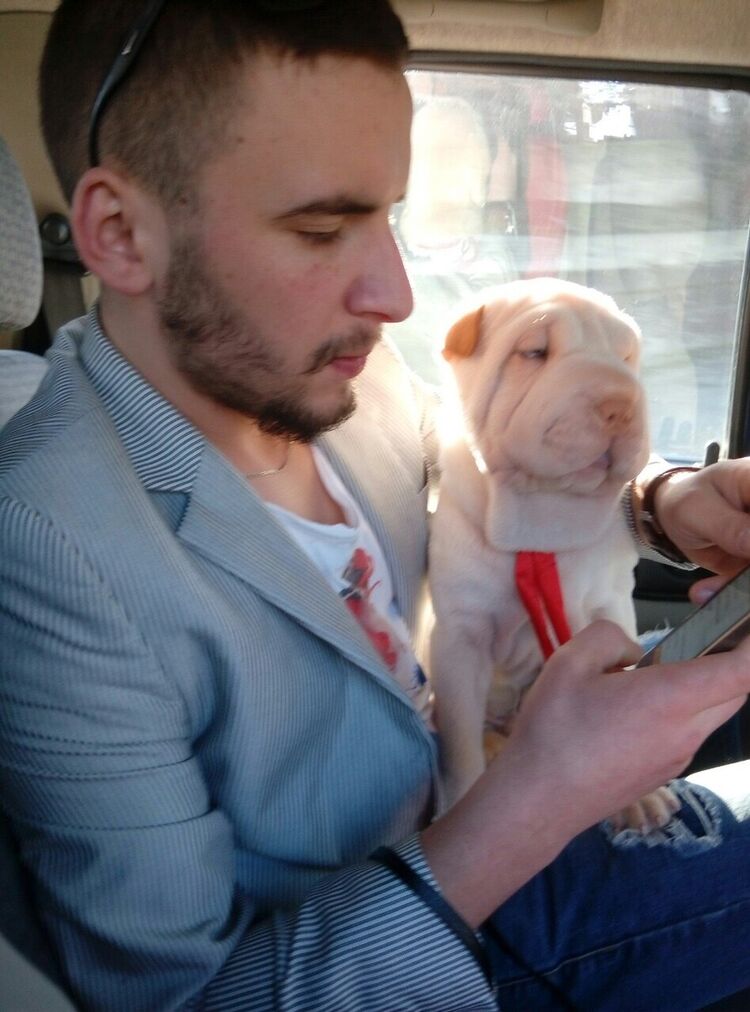  9664595  Gosha, 35 ,    