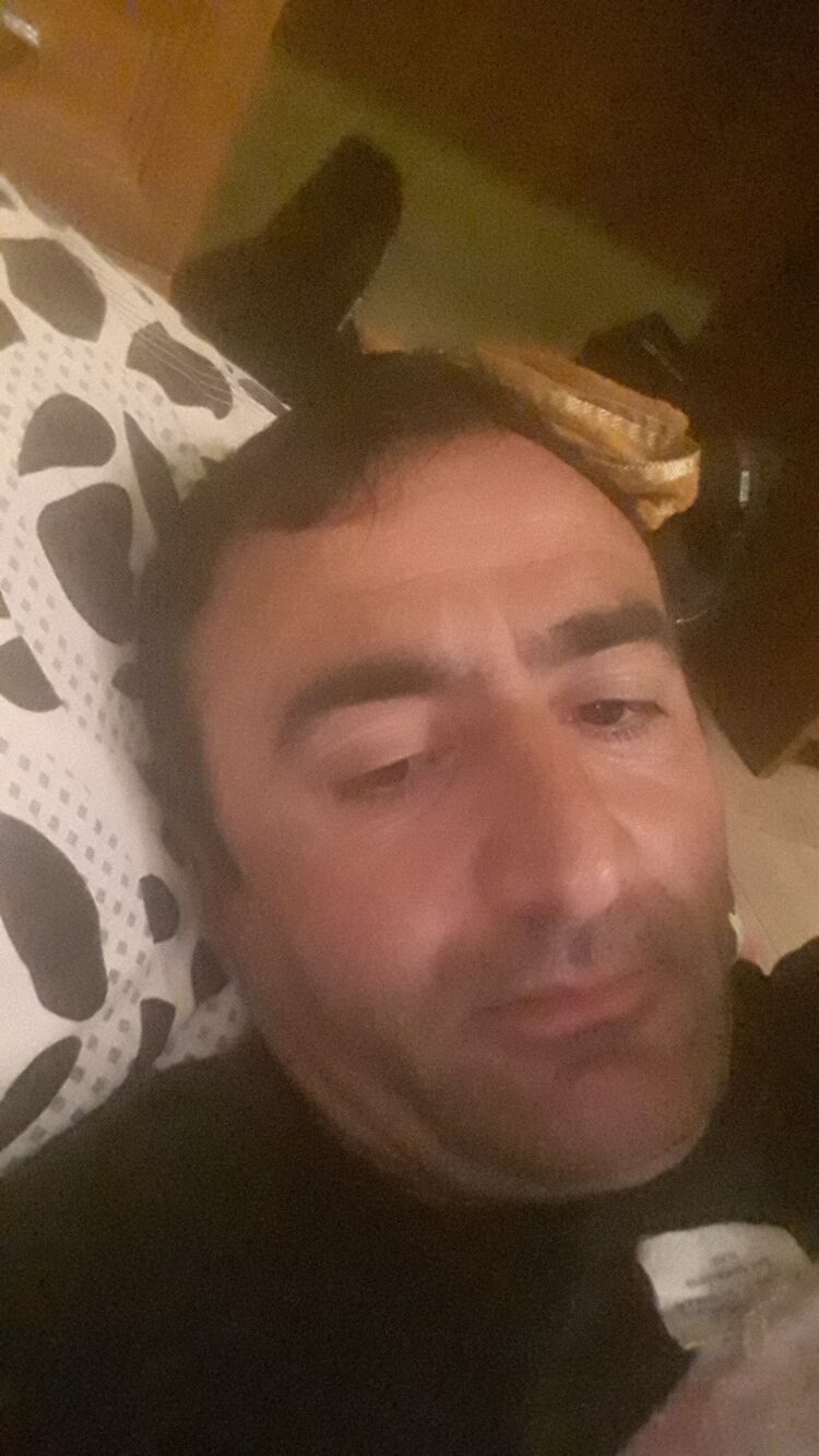 ���� 42688085 ������� ����, 36 ���, ���� ���������� � ������