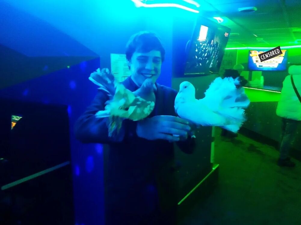 ���������� �����-���������, ���� ������� ������, 36 ���, ������������ ��� ������, ����� � ���������