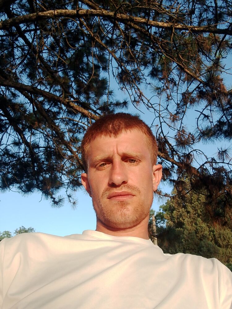 ���� 44121295 ������� ������, 33 ����, ���� ���������� � ����������