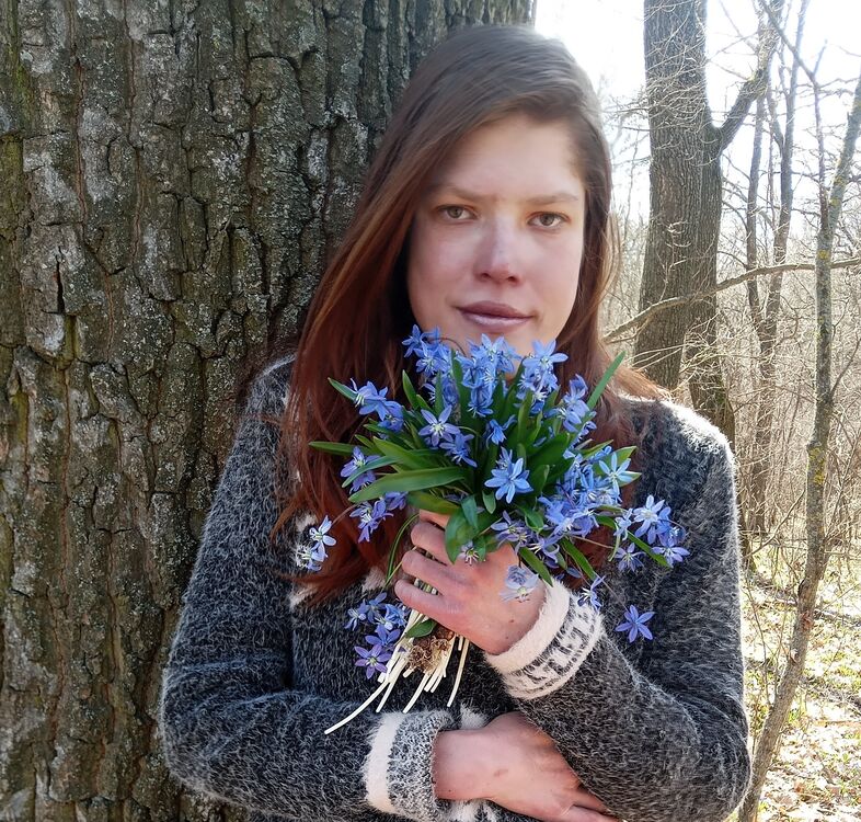 ���������� �������, ���� ������� ���, 27 ���, ������������ ��� ������, ����� � ���������