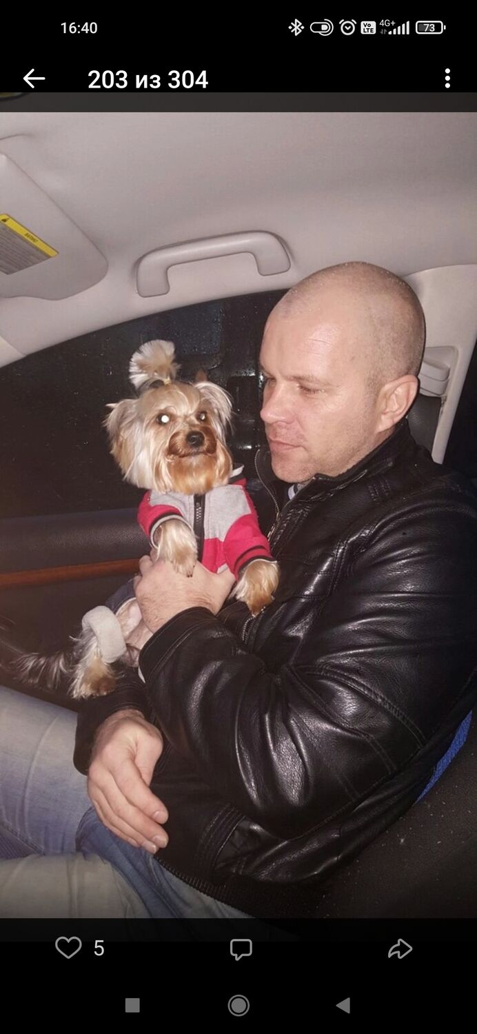 ���������� �������, ���� ������� ������, 50 ���, ������������ ��� ������, ����� � ���������, c�������� ���������, ���������