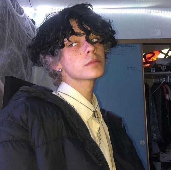  29353455  , 23 ,    -