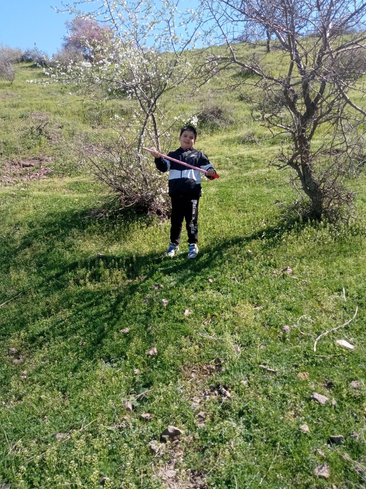 ���������� �������, ���� ����� �����, 19 ���, ������������ ��� ������, ����� � ���������, c�������� ���������