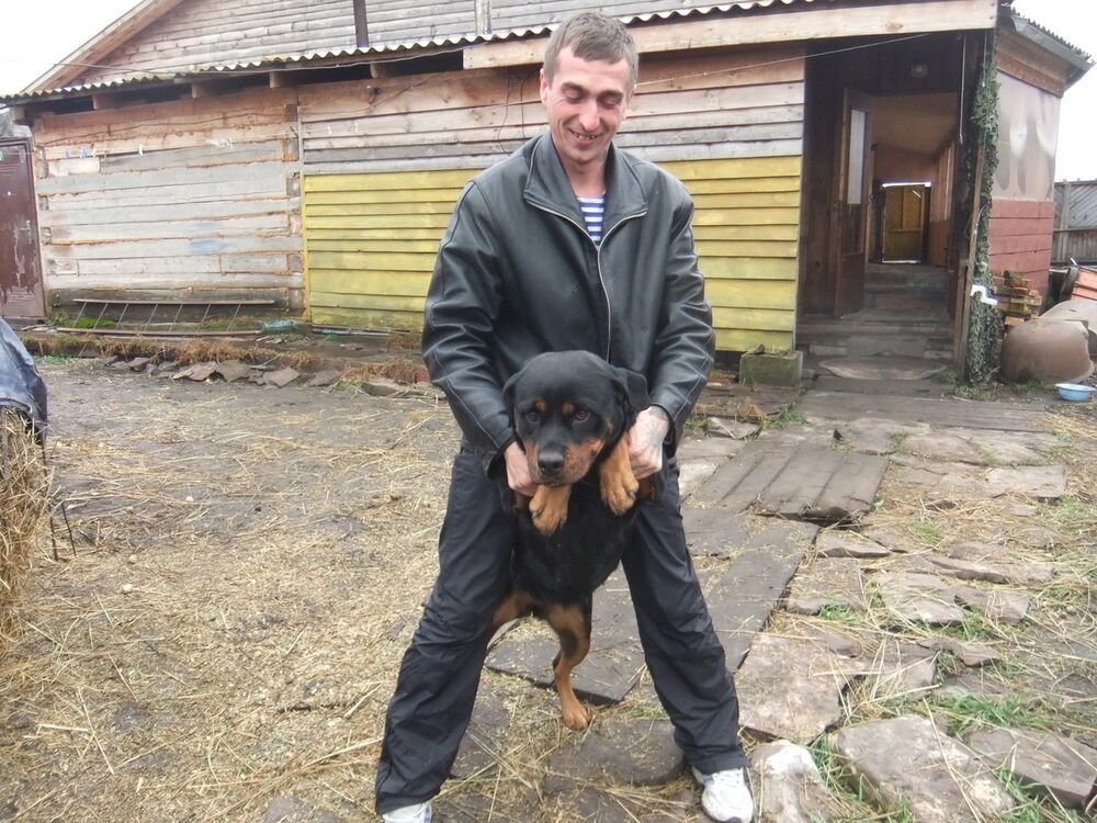  ,   , 42 ,  