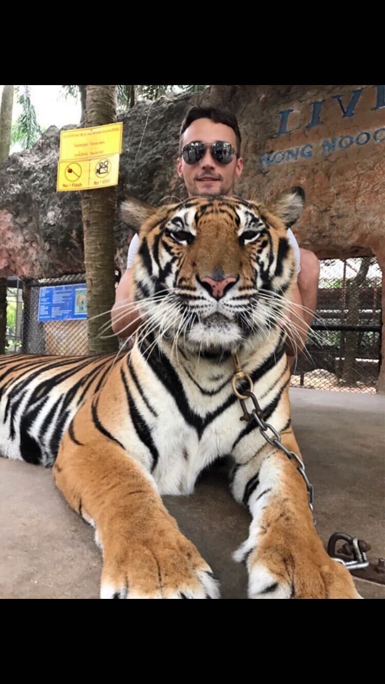 ���������� ������, ���� ������� ��������, 38 ���, ������������ ��� ������, ����� � ���������, c�������� ���������, ���������