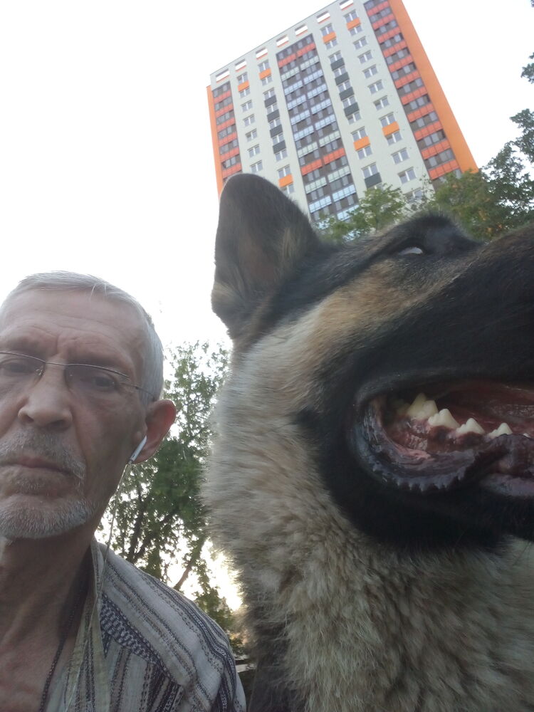 ���� 23548175 ������� ������, 61 ���, ���� ���������� � �������������