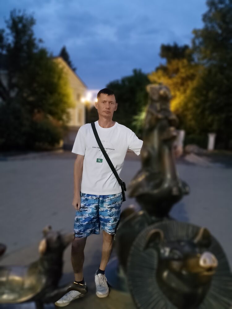  45266455  , 31 ,    