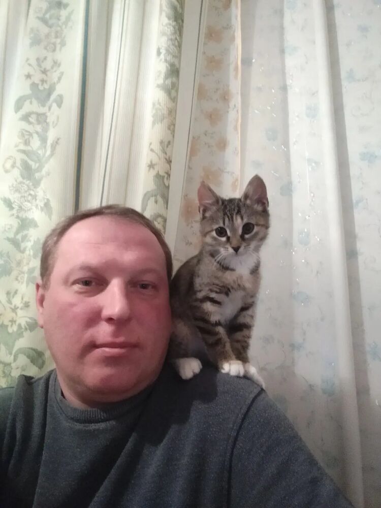  ,   , 43 ,  