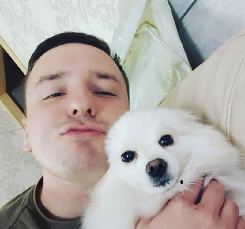 ���� 33792675 ������� ������, 34 ����, ���� ���������� � �����������