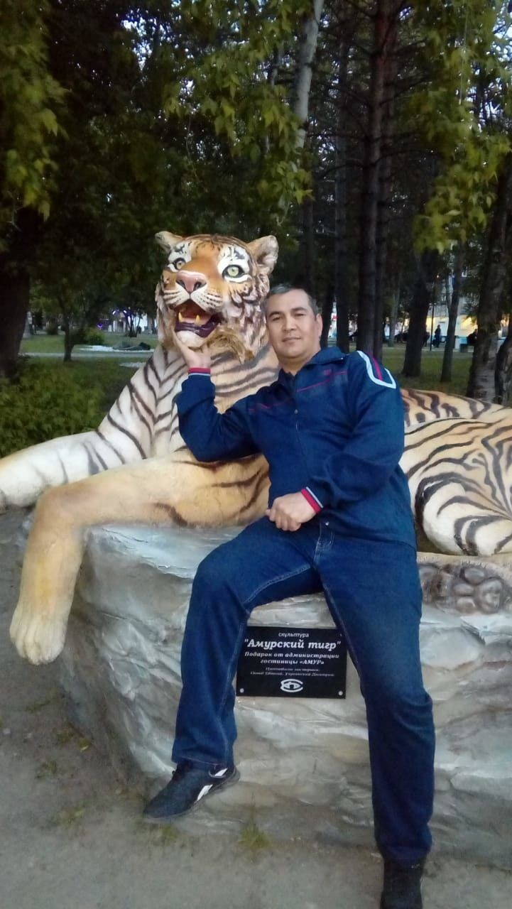 ���� 55309965 ������� �����, 51 ���, ���� ���������� � ��������