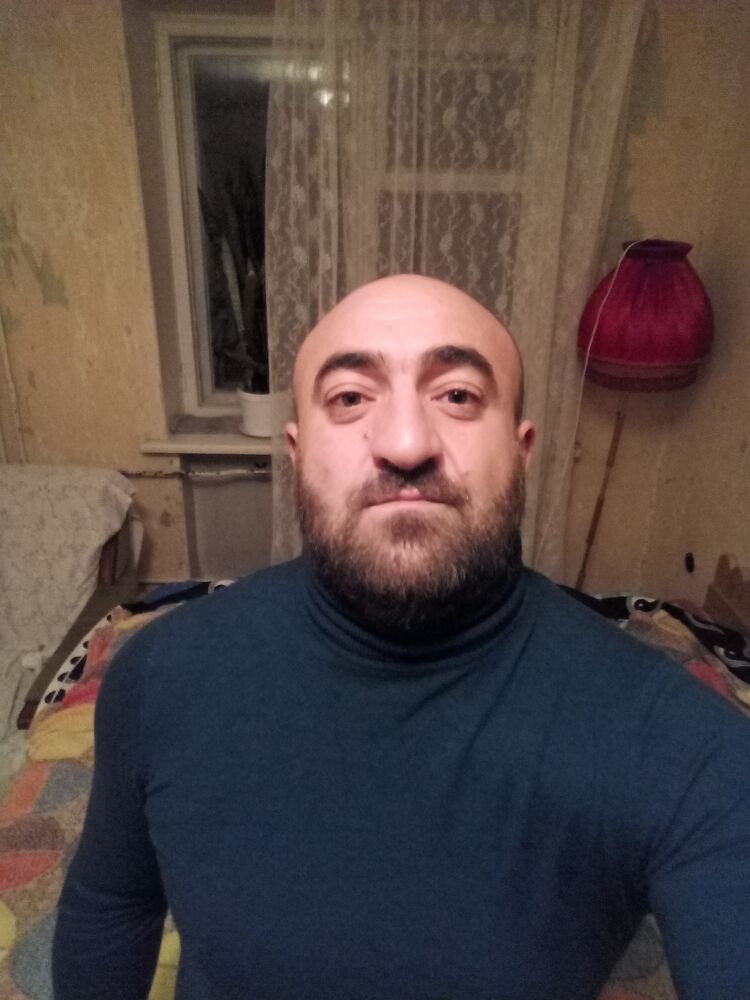  24644505  , 41 ,    