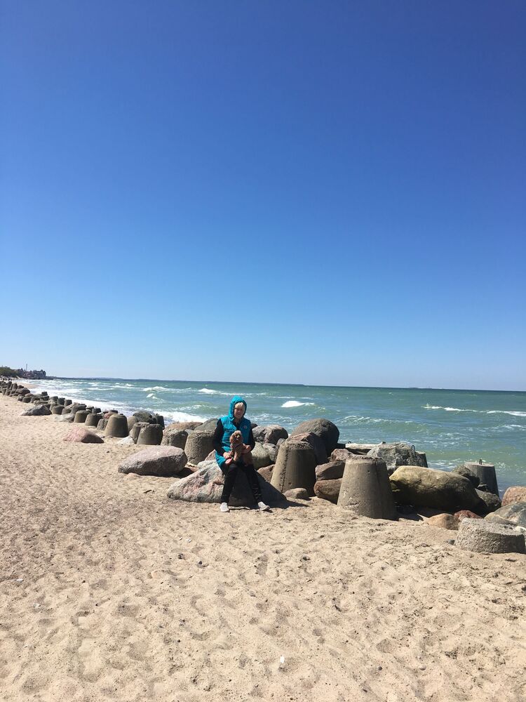 ���������� �����������, ���� ������� �������, 66 ���, ������������ ��� ������, ����� � ���������