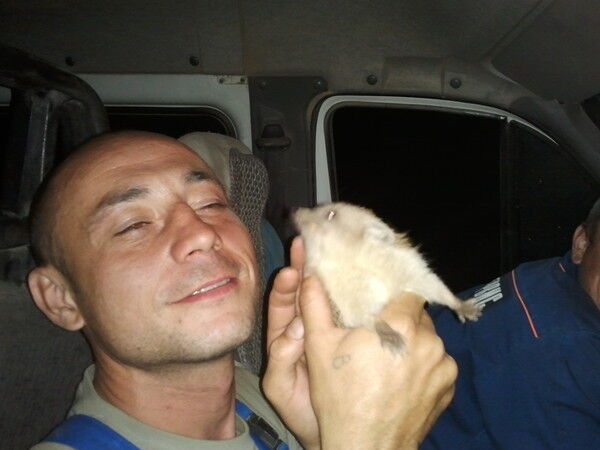 ���� 9712615 ������� ����, 43 ����, ���� ���������� � ����-������������