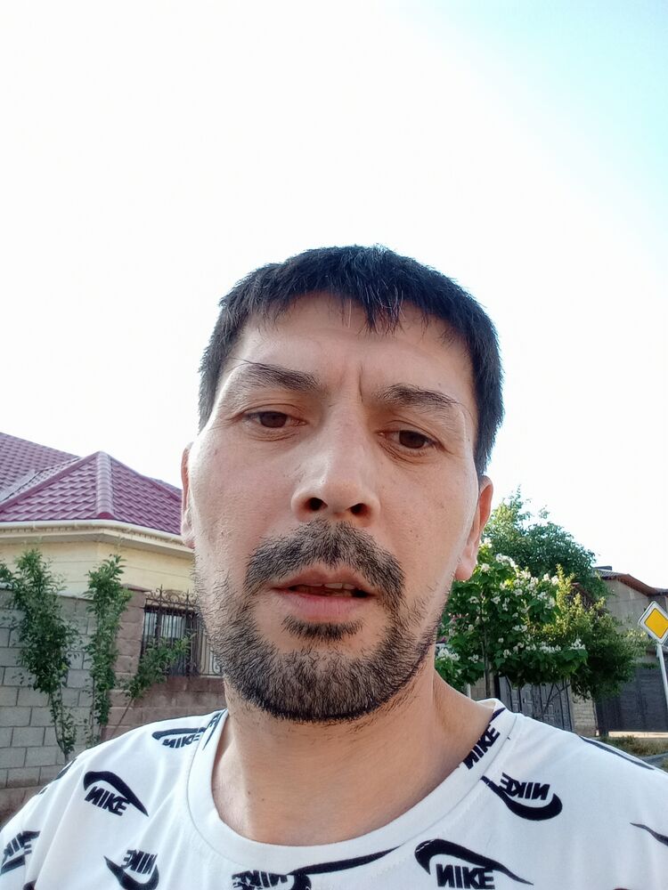  44197995  , 42 ,    