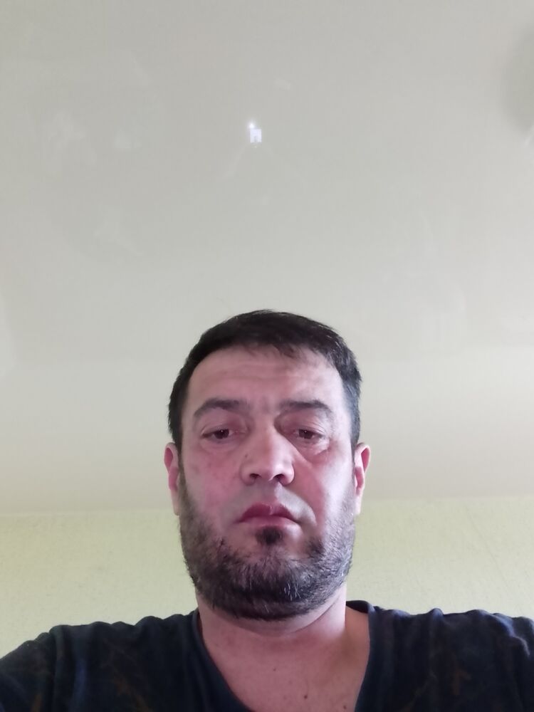  33901365  , 42 ,     