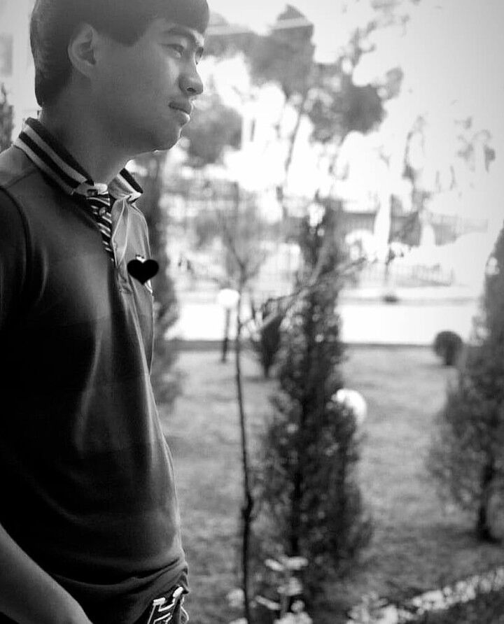 ���� 18580955 ������� Bokhoo, 29 ���, ���� ���������� � ��������