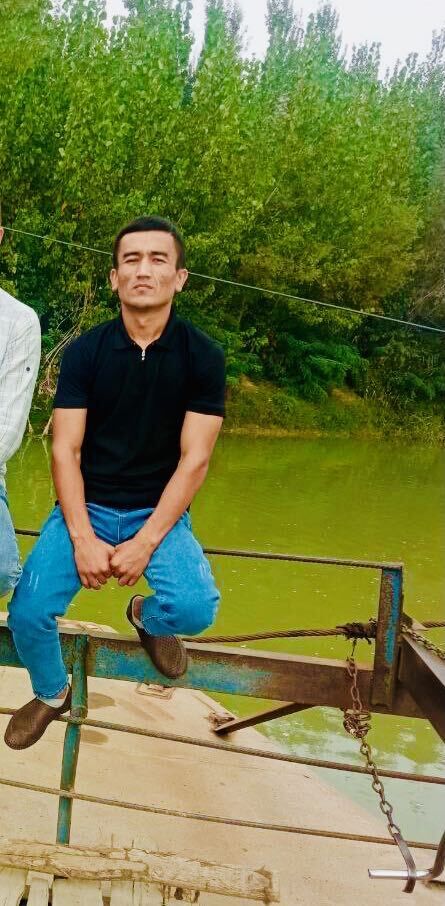  33567075  , 29 ,    -