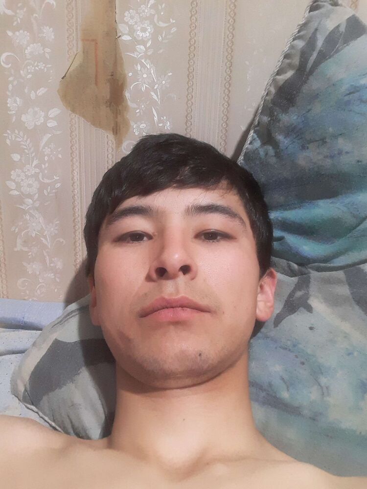  28580005  , 26 ,    