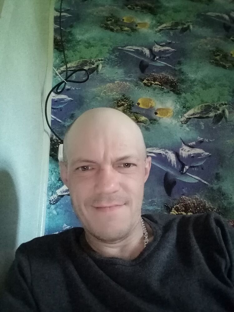  43058065  , 44 ,    