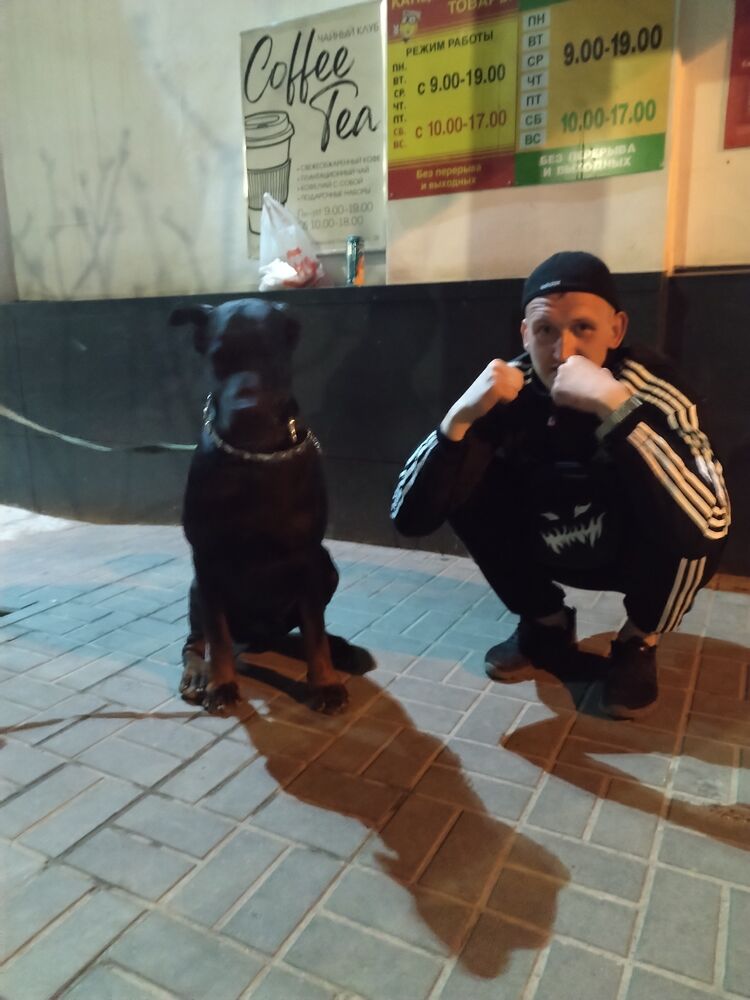 ���������� ���������, ���� ������� ���������, 28 ���, ������������ ��� ������, ����� � ���������, c�������� ���������, ���������