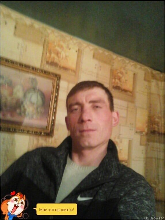  43076675  , 42 ,    