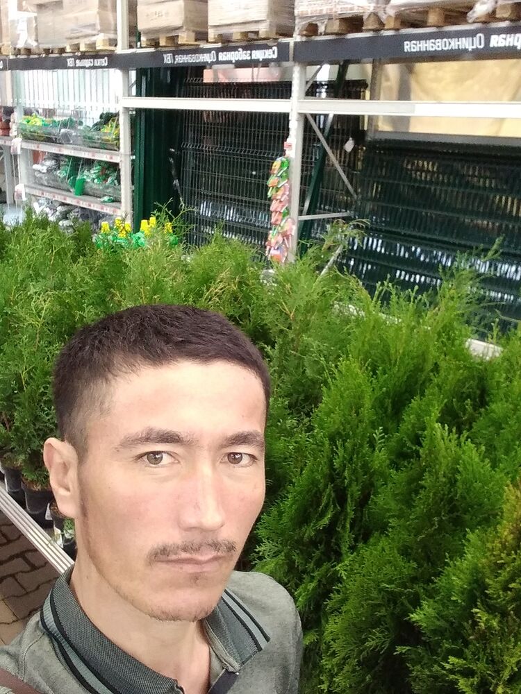 ���������� �����-���������, ���� ������� ������, 37 ���, ������������ ��� ������, ����� � ���������