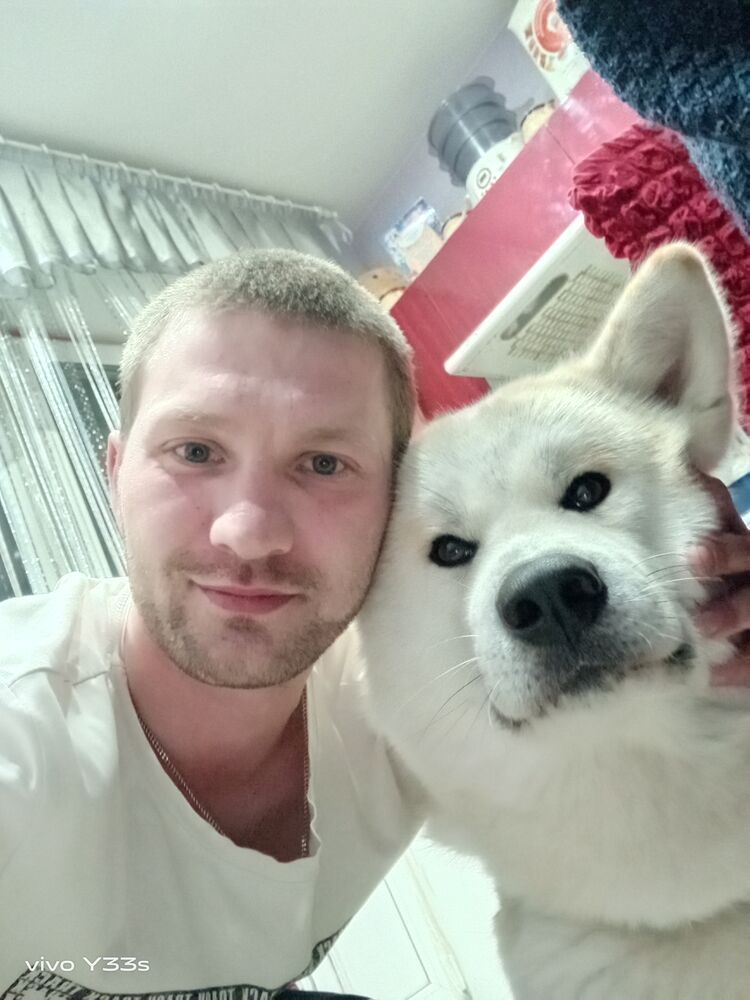 ���������� ��������, ���� ������� ����, 34 ����, ������������ ��� ������, ����� � ���������, c�������� ���������