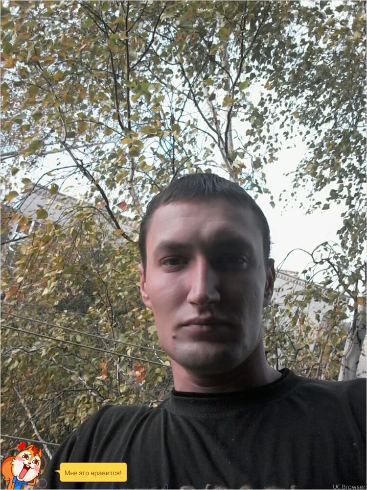  8276635  , 34 ,    