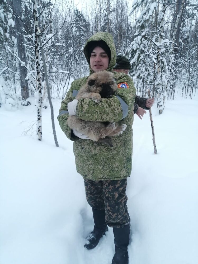  47265555  Nikita, 29 ,    