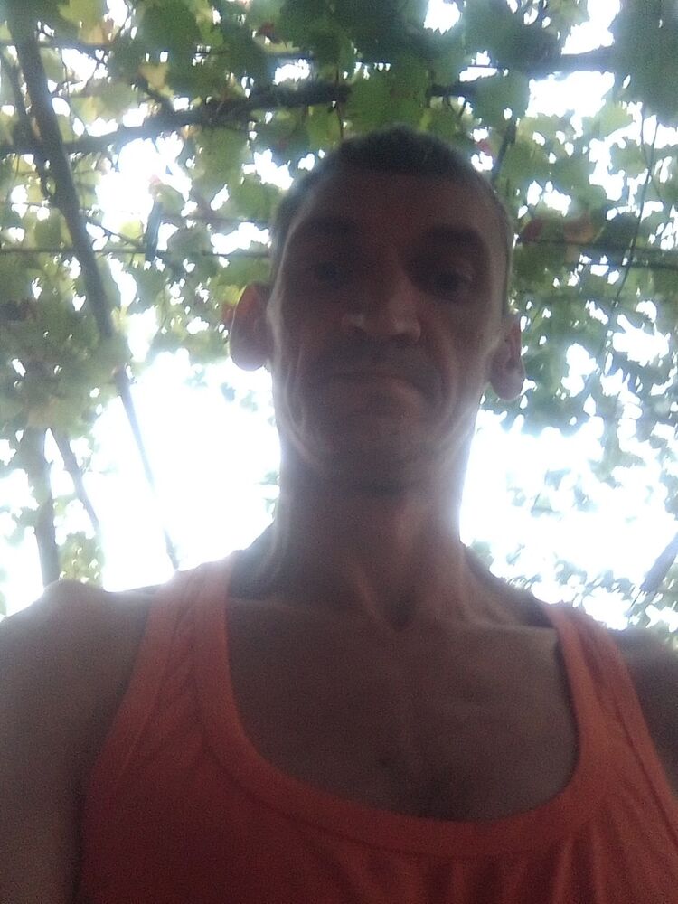 ���� 49569855 ������� ����, 43 ����, ���� ���������� � ����������