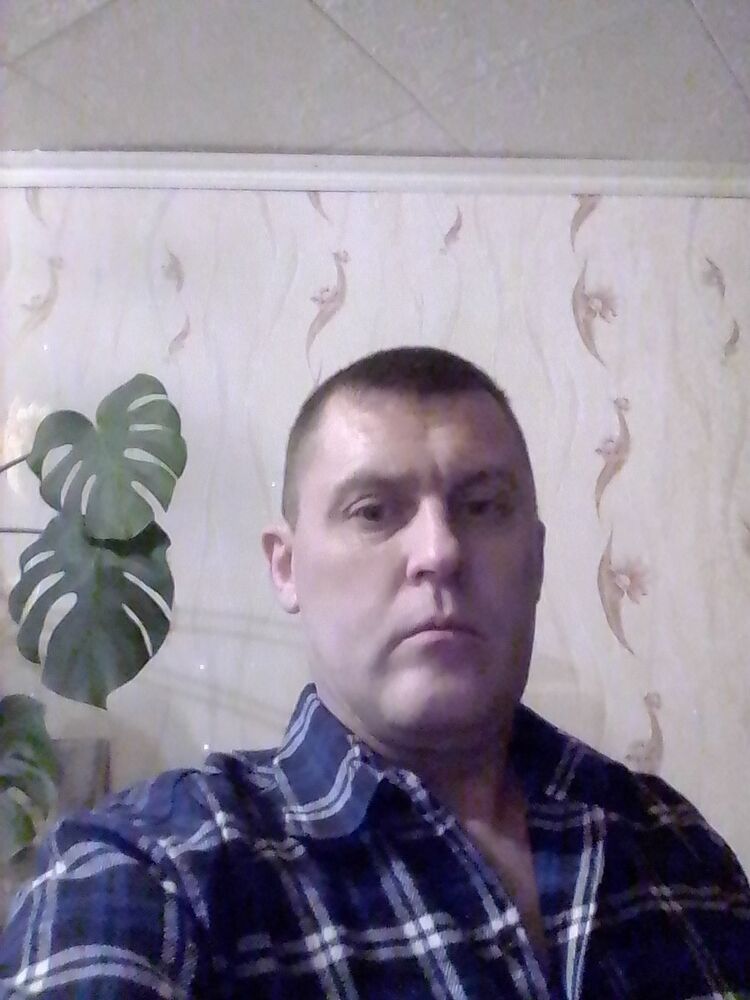  18312055  , 50 ,    