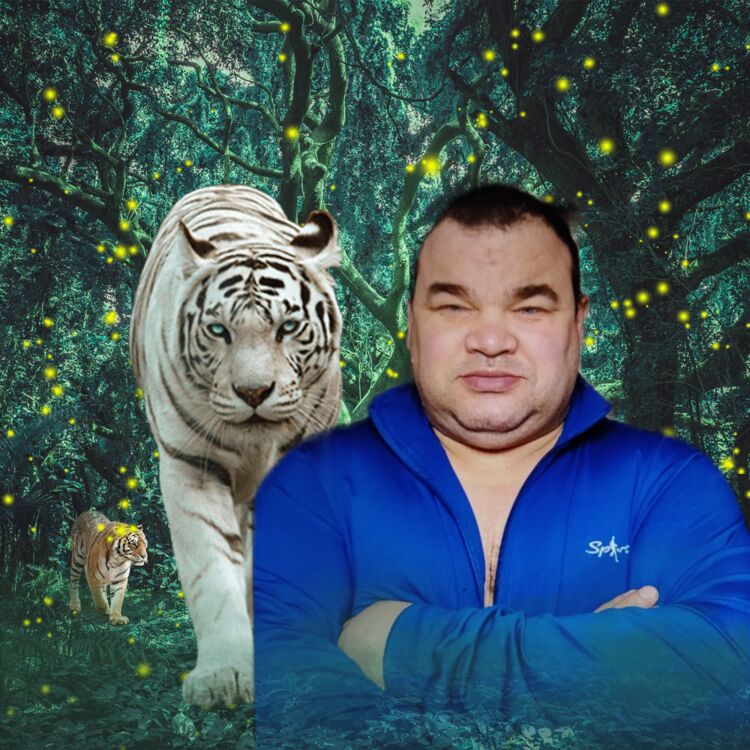  ,   , 49 ,   