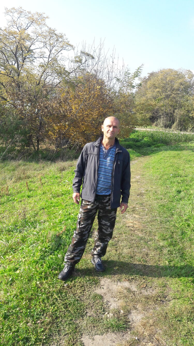  24647795  , 50 ,    