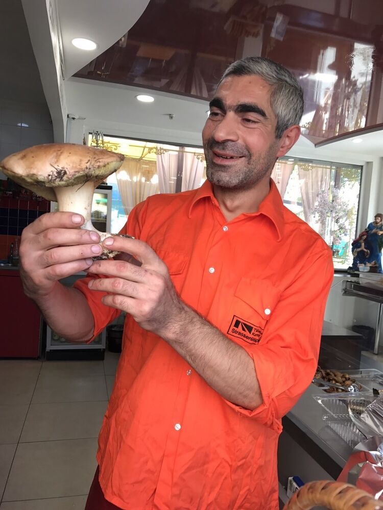 ���������� ��������, ���� ������� �����, 41 ���, ������������ ��� ������, ����� � ���������, c�������� ���������