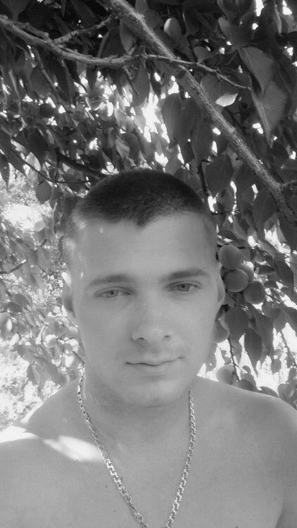  27063625  , 33 ,    