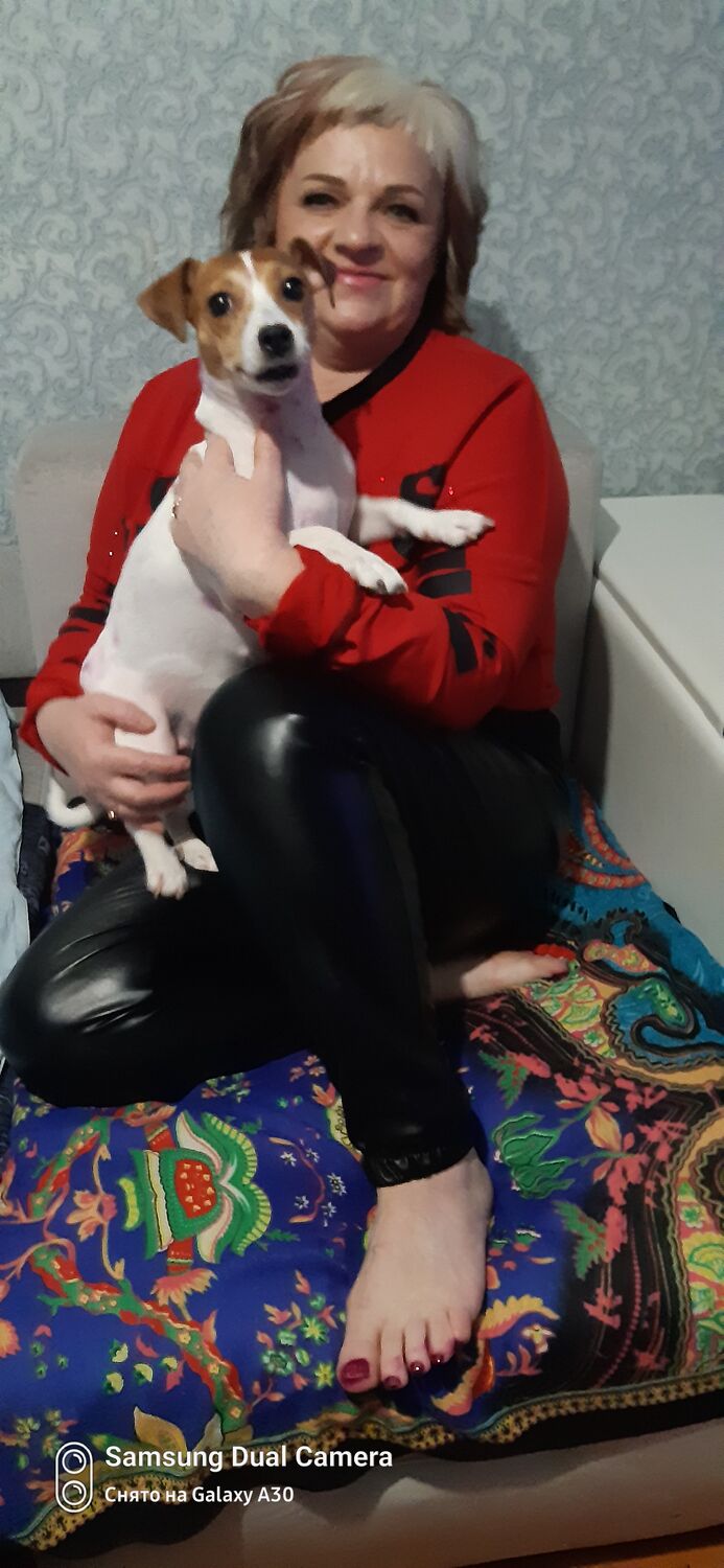  50032155  , 56 ,    --