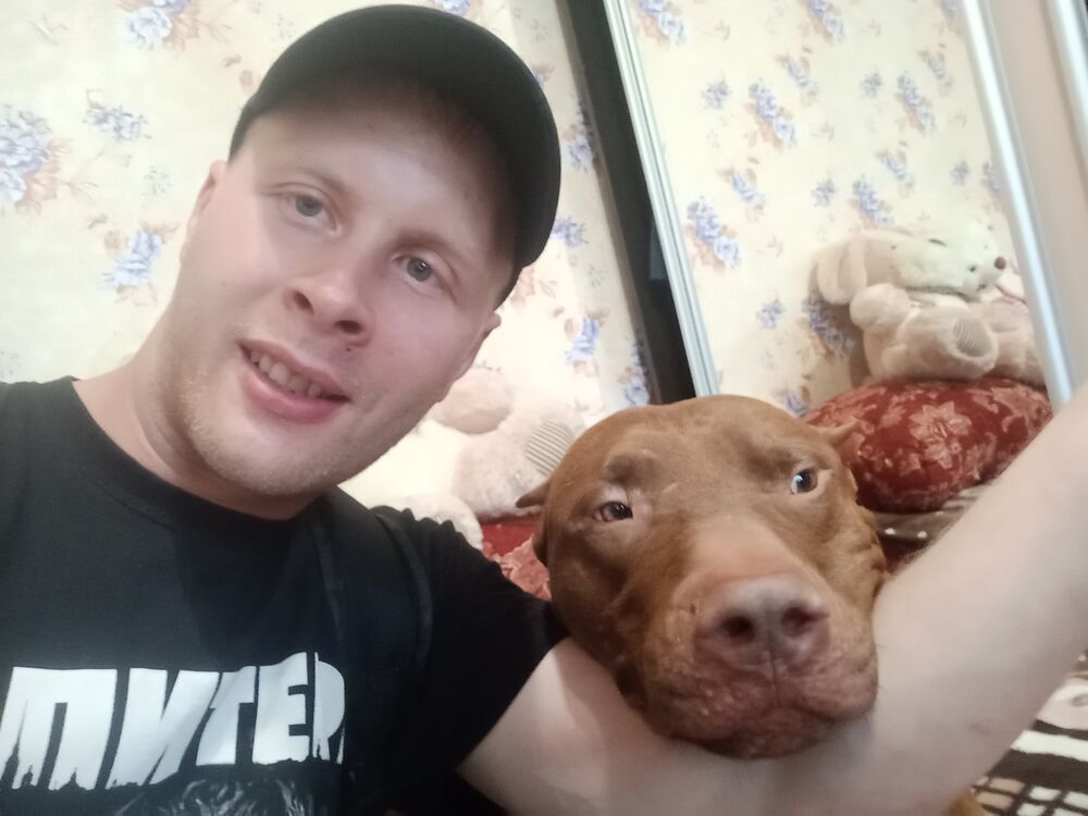 ���� 28919905 ������� �������, 35 ���, ���� ���������� � �������������