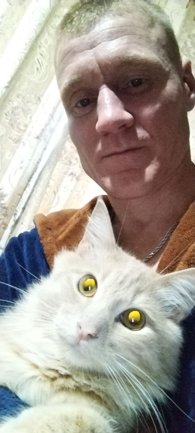  53840675  Alexei, 41 ,    
