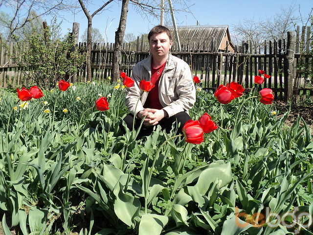 ���������� �������, ���� ������� �����, 43 ����, ������������ ��� ����� � ���������, c�������� ���������