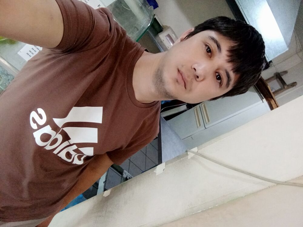 ���� 31045205 ������� ������, 31 ���, ���� ���������� � �������������